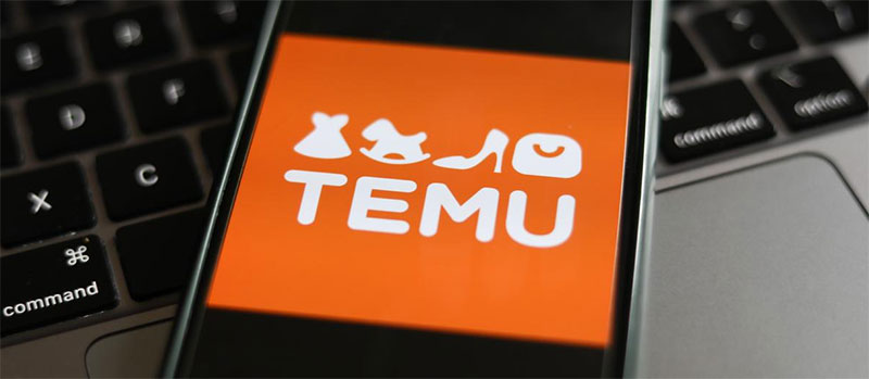 Temu Risks
