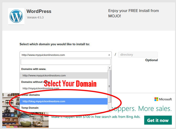 Wordpress Domain