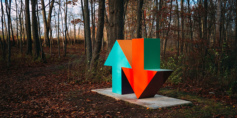 blue up and red down designs in a forest